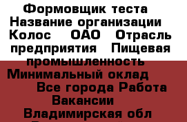 Формовщик теста › Название организации ­ Колос-3, ОАО › Отрасль предприятия ­ Пищевая промышленность › Минимальный оклад ­ 21 000 - Все города Работа » Вакансии   . Владимирская обл.,Вязниковский р-н